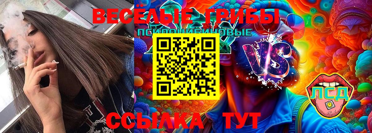 сколько стоит  Галлюциногенные грибы GOLDEN TEACHER  Сердобск  Вход с VPN  Галлюциногенные грибы MAGIC MUSHROOMS 